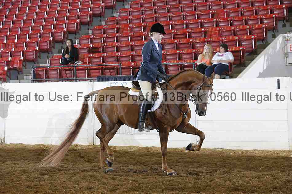 Proof 13buck_0560