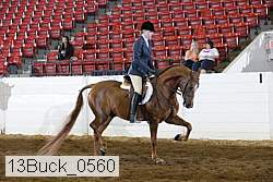 13buck_0560 proof