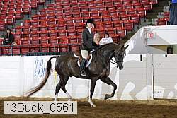 13buck_0561 proof