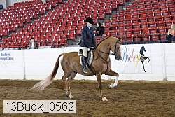 13buck_0562 proof