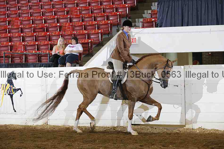 Proof 13buck_0563