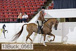 13buck_0563 proof