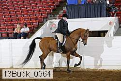 13buck_0564 proof