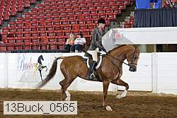 13buck_0565 proof
