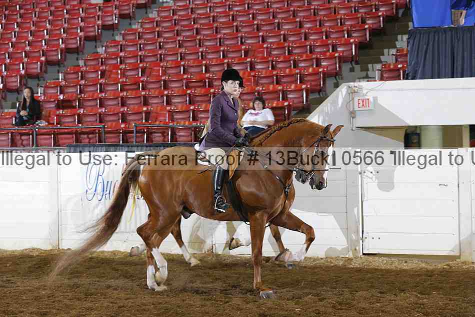 Proof 13buck_0566
