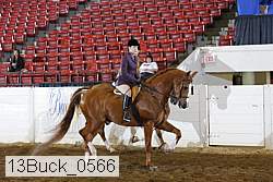 13buck_0566 proof