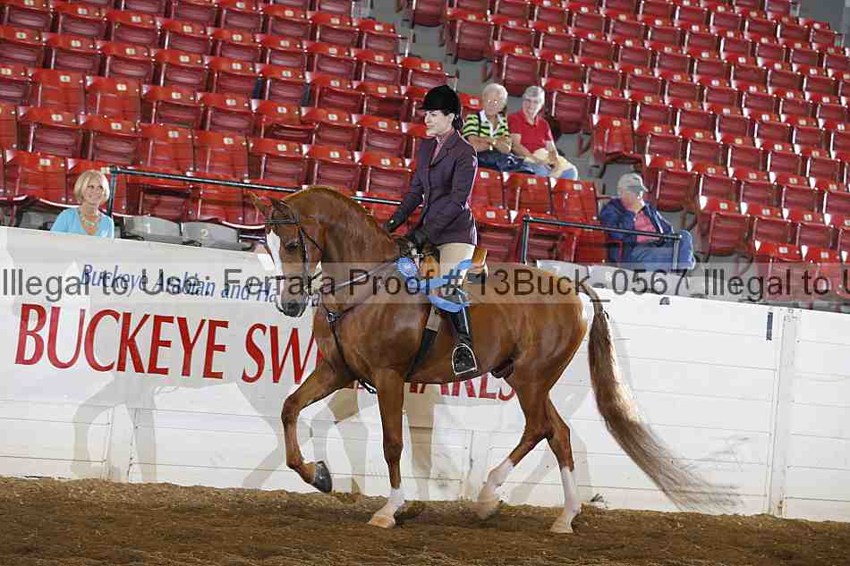 Proof 13buck_0567