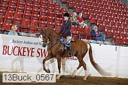 13buck_0567 proof