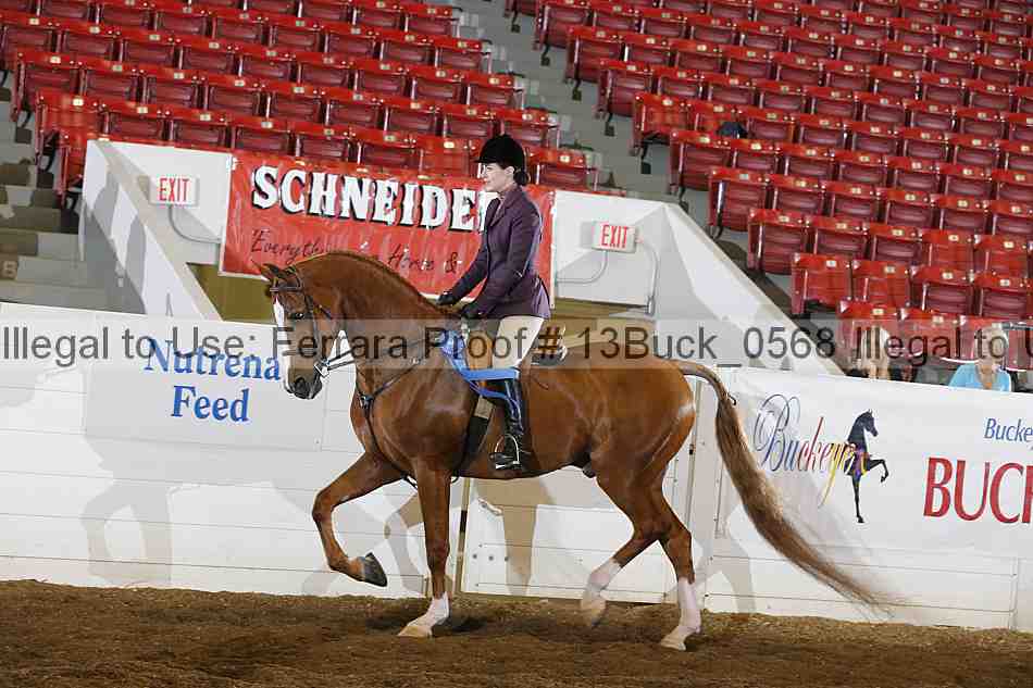 Proof 13buck_0568