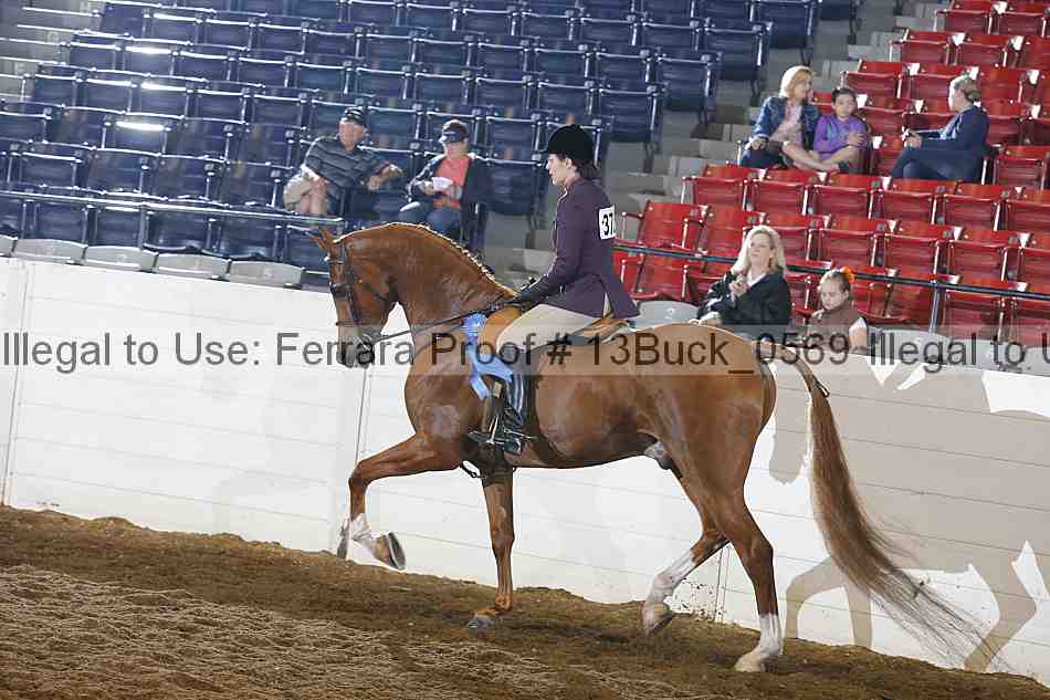 Proof 13buck_0569