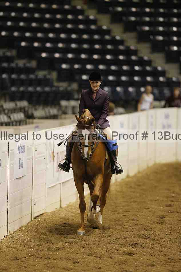 Proof 13buck_0571