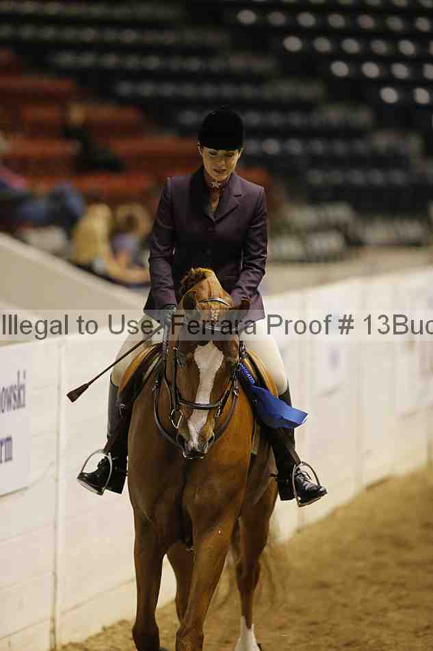 Proof 13buck_0572