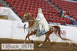 13buck_0576 proof
