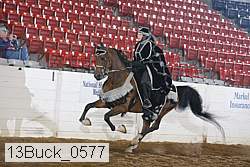 13buck_0577 proof