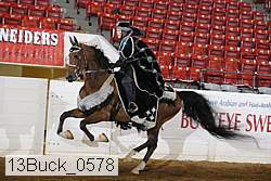 13buck_0578 proof