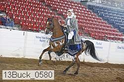 13buck_0580 proof