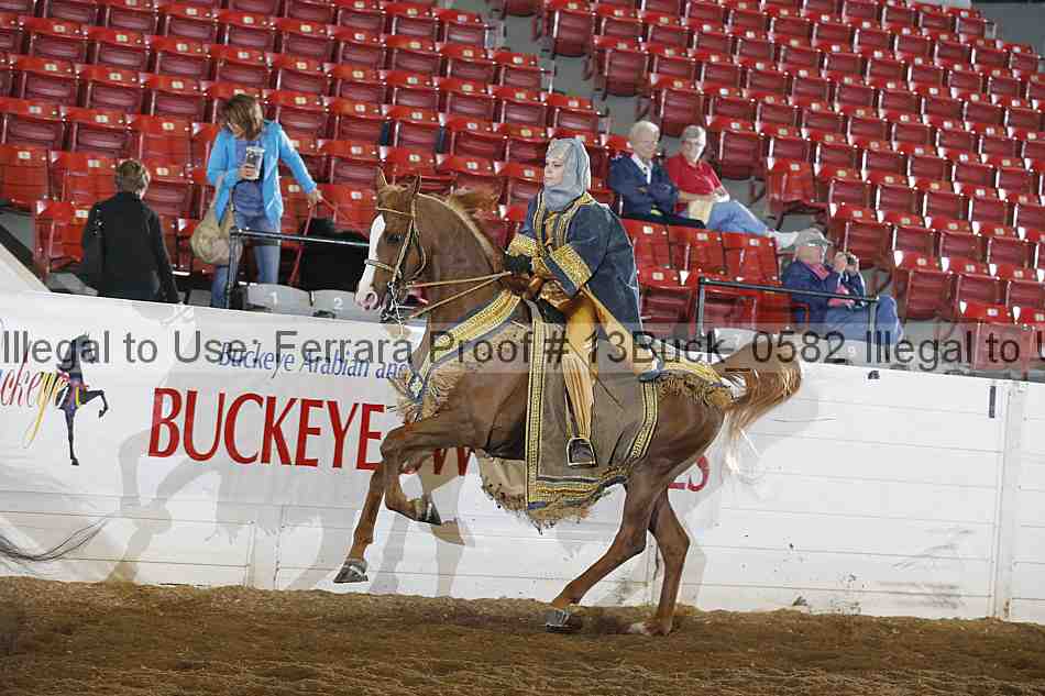 Proof 13buck_0582