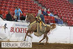 13buck_0582 proof
