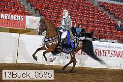 13buck_0585 proof