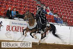 13buck_0587 proof