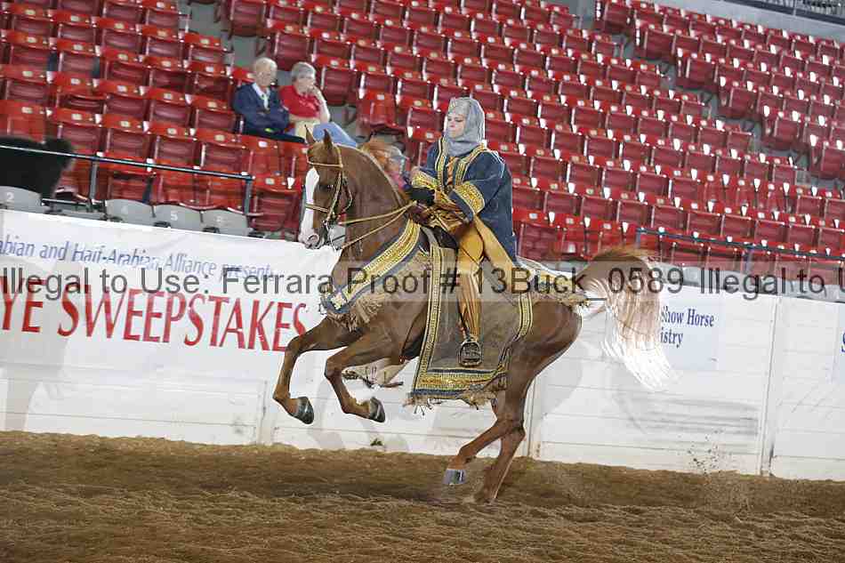 Proof 13buck_0589