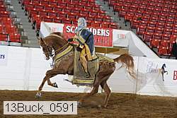 13buck_0591 proof