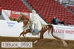 13buck_0592 proof