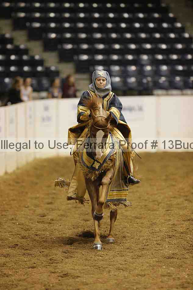 Proof 13buck_0594