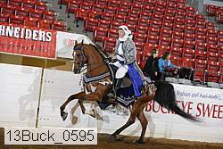 13buck_0595 proof