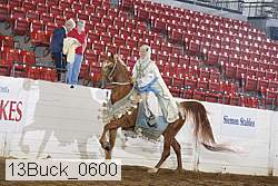 13buck_0600 proof