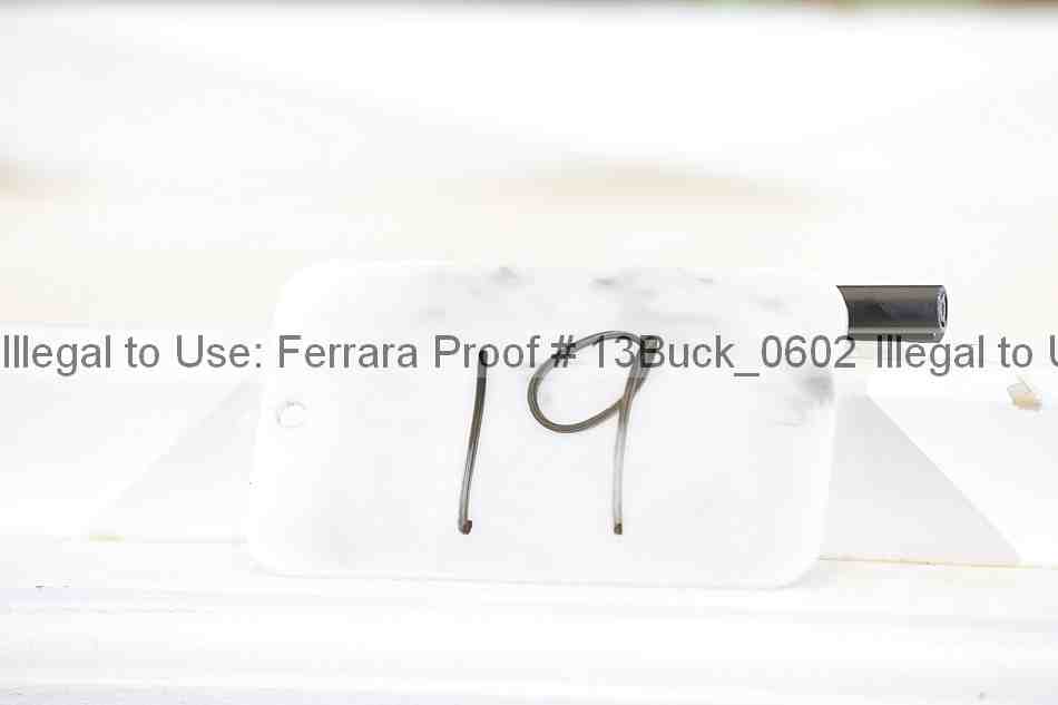 Proof 13buck_0602