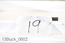 13buck_0602 proof