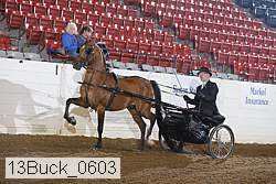 13buck_0603 proof