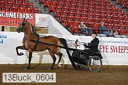 13buck_0604 proof