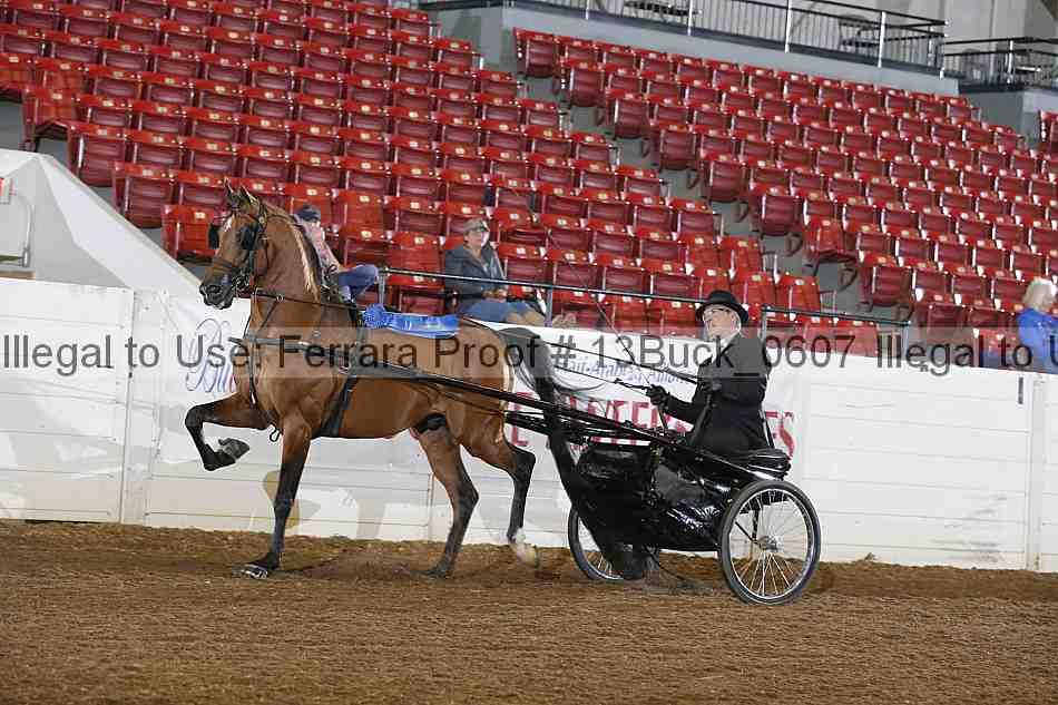 Proof 13buck_0607