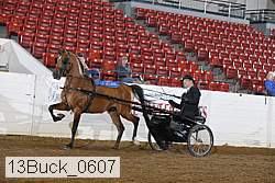 13buck_0607 proof
