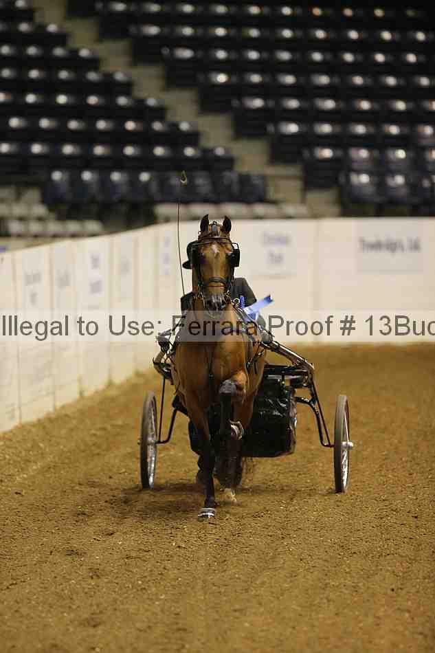 Proof 13buck_0608
