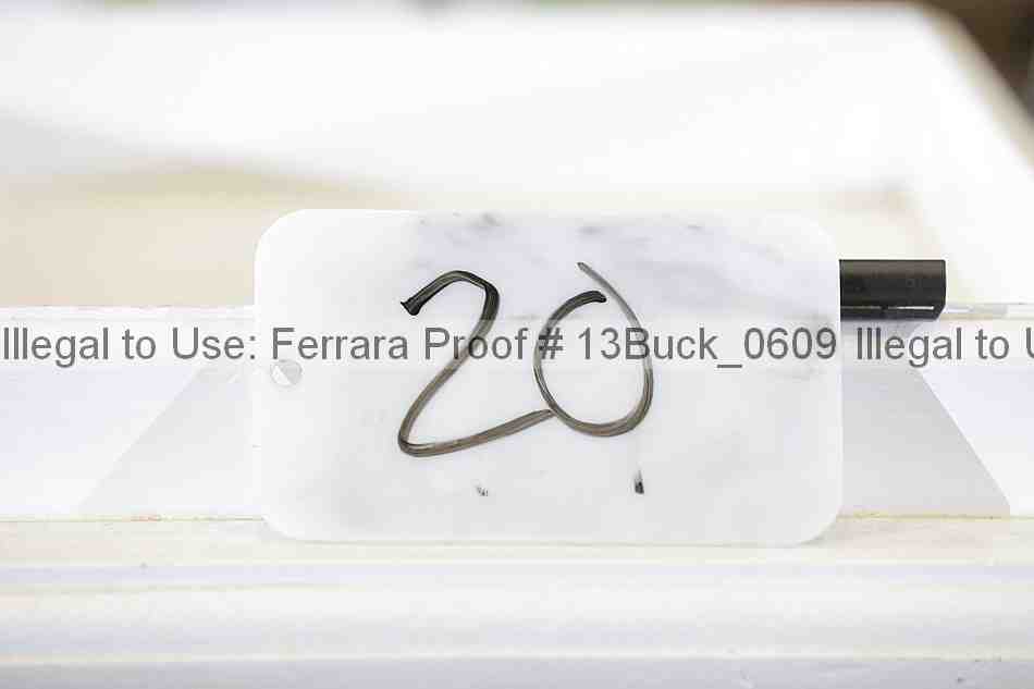 Proof 13buck_0609