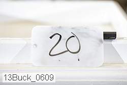 13buck_0609 proof