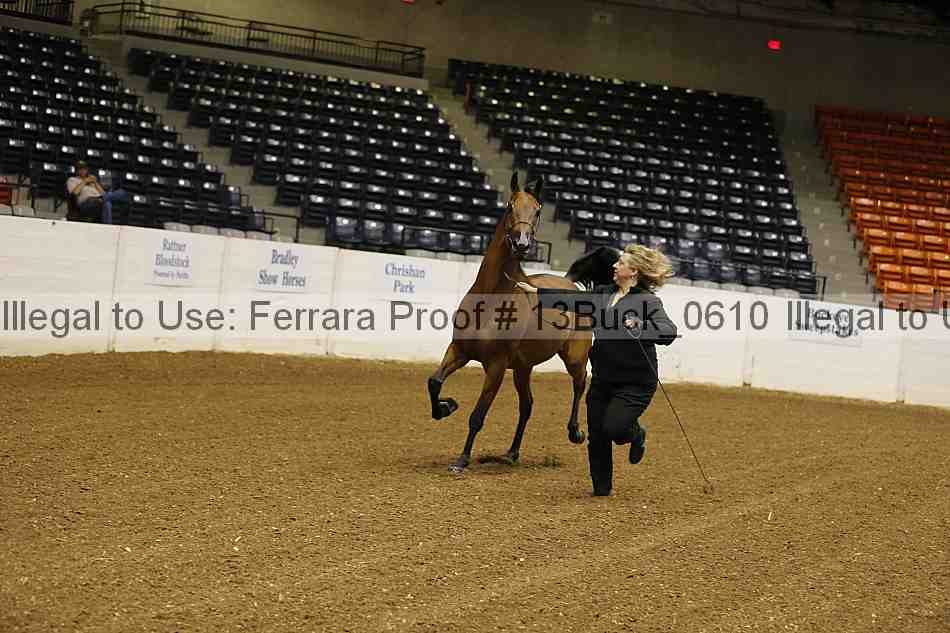 Proof 13buck_0610