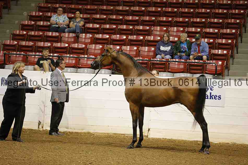 Proof 13buck_0614