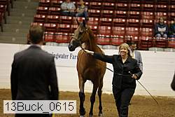 13buck_0615 proof