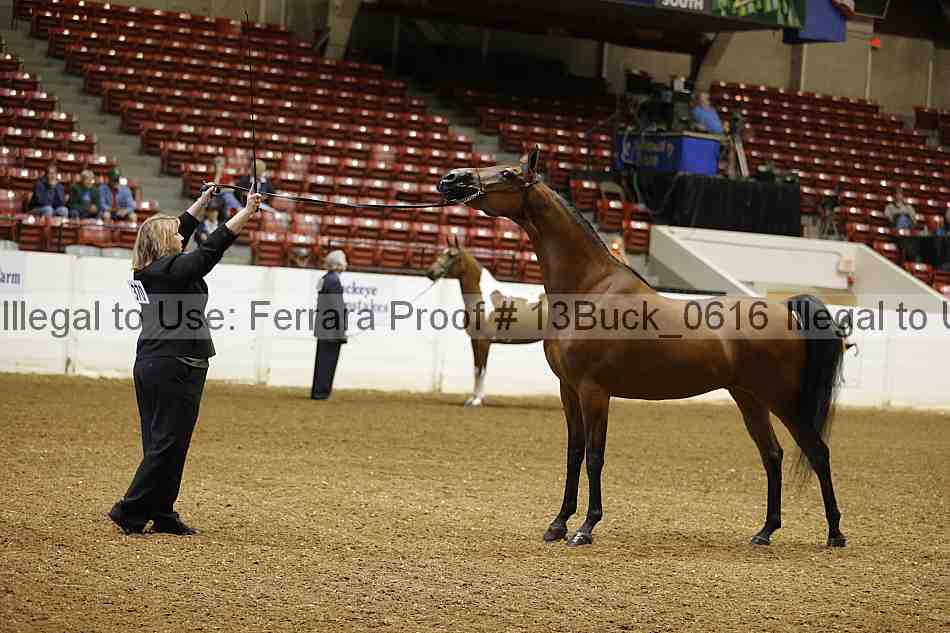 Proof 13buck_0616