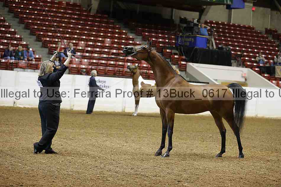 Proof 13buck_0617