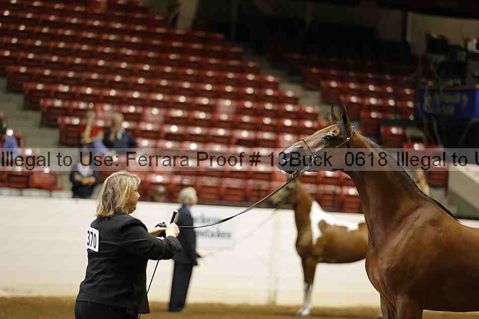 Proof 13buck_0618