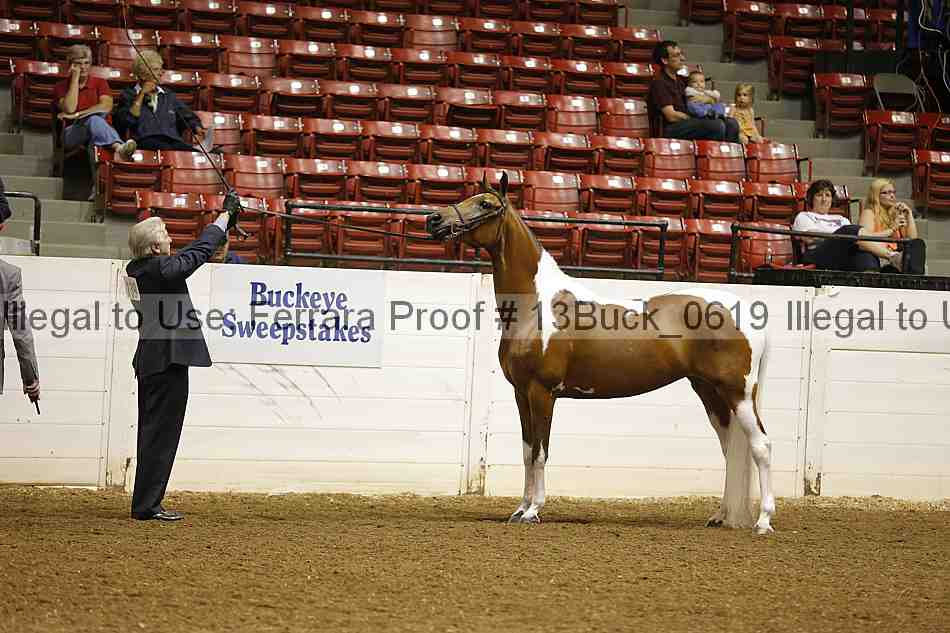 Proof 13buck_0619