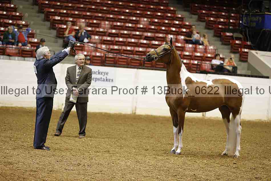Proof 13buck_0622