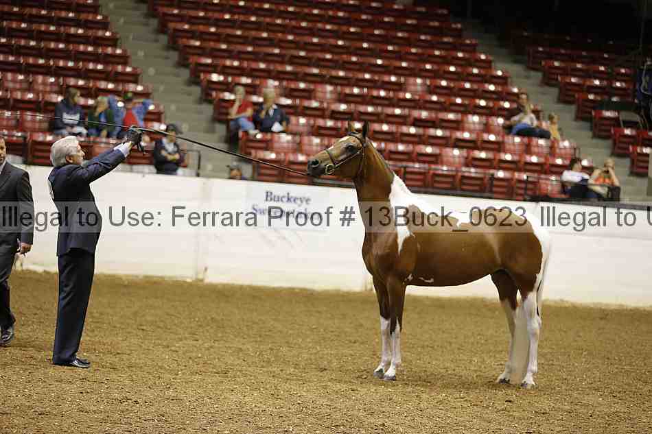Proof 13buck_0623