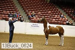 13buck_0624 proof