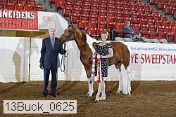 13buck_0625 proof